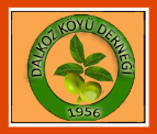 ÇANKIRI BAYRAMÖREN DALKOZ KÖYÜ KALKINDIRMA GÜZELLEŞTİRME VE YARDIMLAŞMA DERNEĞİ Dernek Başkanı Servet  UYSAL