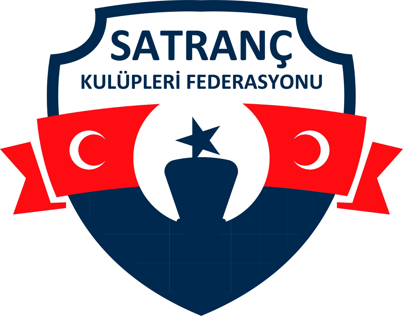 Satranç Kulüpleri Federasyonu Dernek Başkanı Prof.Dr.Selçuk Burak Haşıloğlu