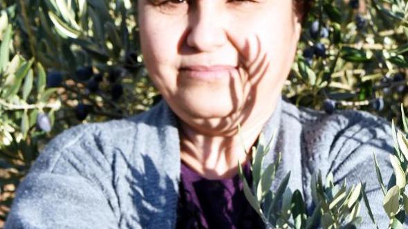 Yatağan'da çevrecilerden kömür ocağına karşı eylem